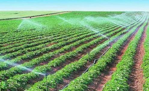 找个操黑逼得看看农田高 效节水灌溉
